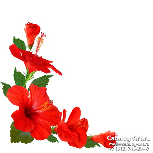 Red flowers 49